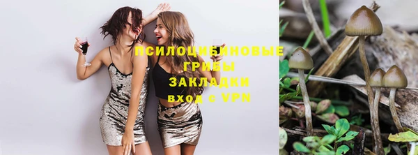 спиды Переславль-Залесский