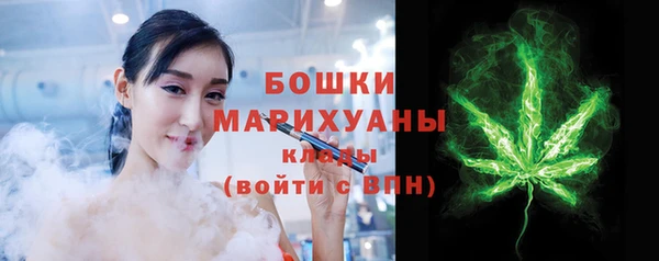 мдпв Пересвет