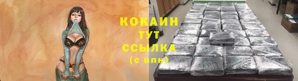 мдпв Пересвет