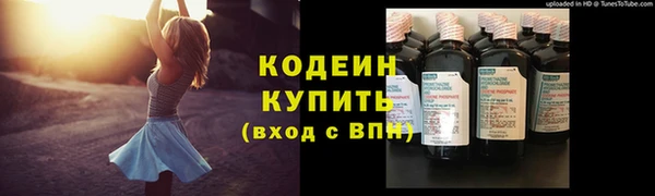 мдпв Пересвет